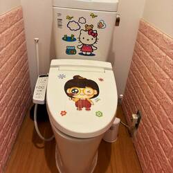 The Wondrous Miracle of the Japanese Toilet!