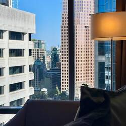 Unser Ausblick vom Bett aus