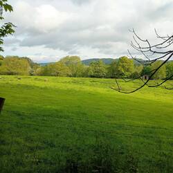 Long views to hills beyond