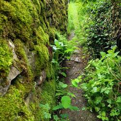 A road less travelled