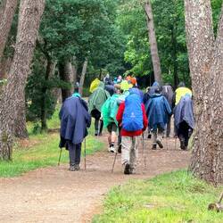 The crowd of pilgrims from Sarria onward 😕