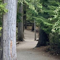 Durch den Wald zu den Spahats Falls