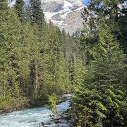 Mount Robson
