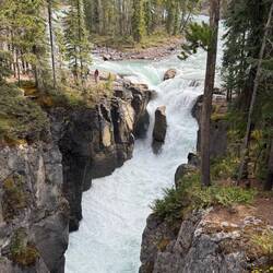 Sunwapta Falls