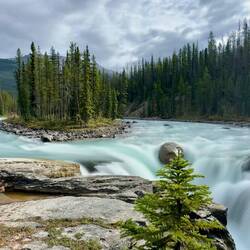 Sunwapta Falls