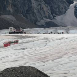 Dem Gletscher ganz nah – der Bus macht’s möglich. 🙈