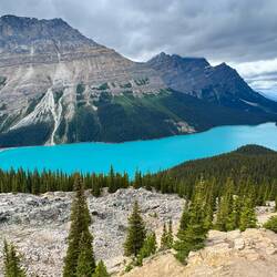 Peyto Lake