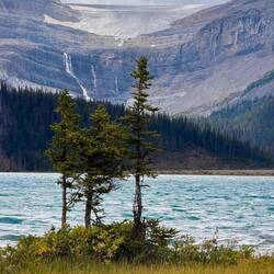 Bow Lake mit dem Bow Glacier