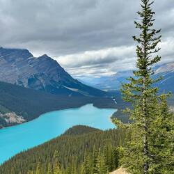 Peyto Lake