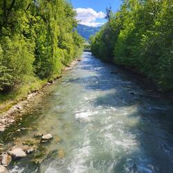 Die wilde Drau.