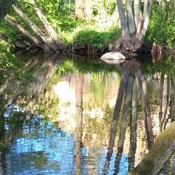 Idylle am Fluss