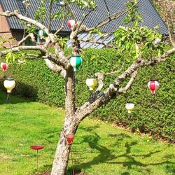Abenteuerland-Apfelbaum🎈