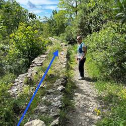 The caz carried water from the river to...