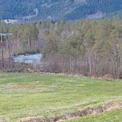 Elchsuchbild