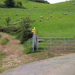 The path to the left. I (inadvertently) stayed on the road. Still got there.