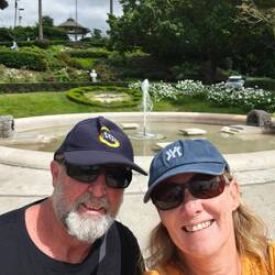 Hello from local gardens
