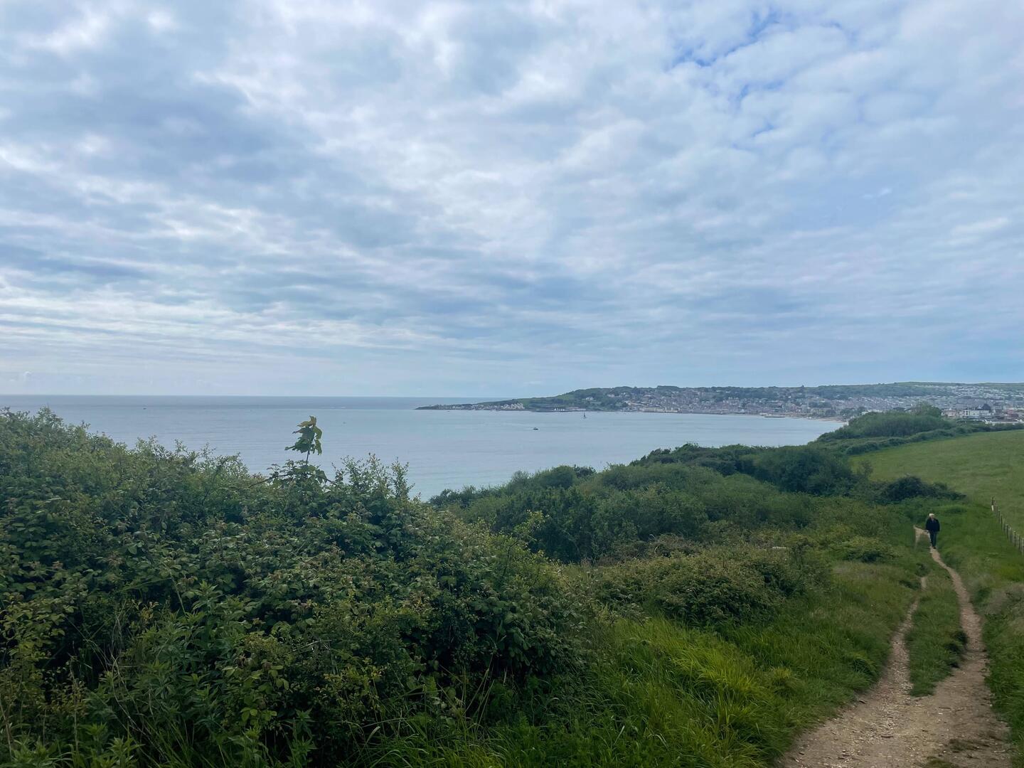 View above Swanage