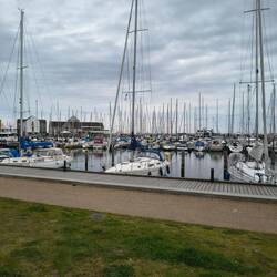Ein Blick auf den Hafen im Hier und Jetzt 😂