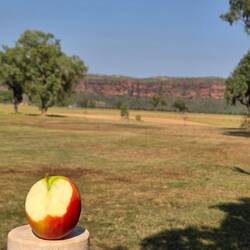 Morning tea at Adelaide River