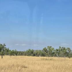 The changing savannah