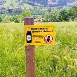 Los perros no deben contaminar el pasto con su caca 💩so pena de afectar la producción de leche