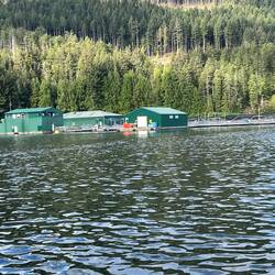 Marine Harvest Fish Farm