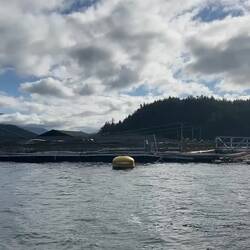Marine Harvest fish farm facility