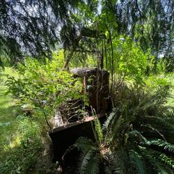 Can you spot the old bulldozer?