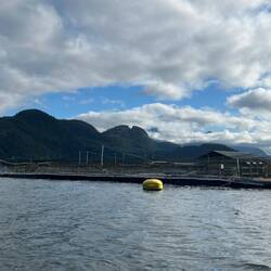 Marine Harvest Fish Farm