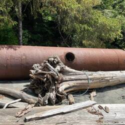 Some junk on the beach at Port Neville