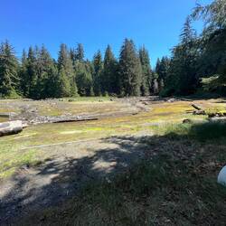Lagoon behind store at low tide.