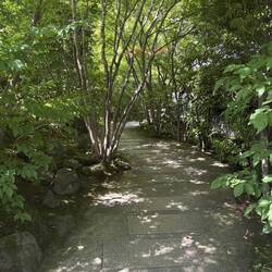 Der Weg ins Onsen.