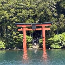 Das Torii des Hakone Schreins im Ashi See.
