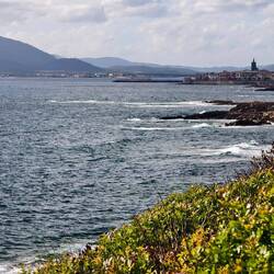 Blick auf Alghero