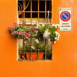 Window on Via Remorsella — Bologna, Italy.