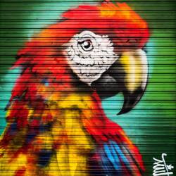 Street art — Bologna, Italy.