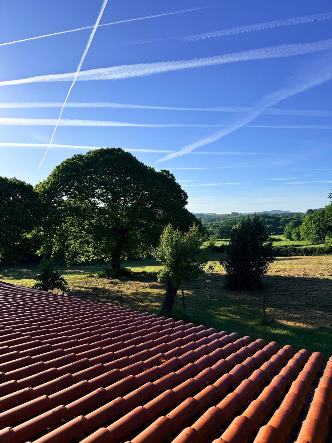 View this morning. Where are all the airplanes going?