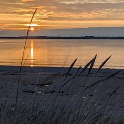 Abendstimmung in Frillesas