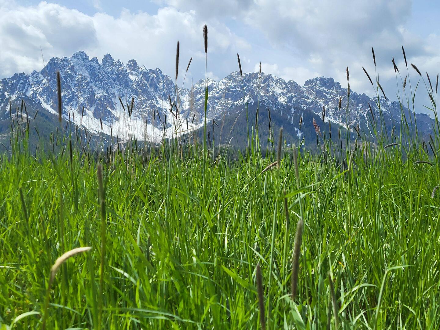In den Dolomiten.