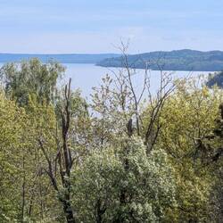 Blick vom Naturreservat Fjäras Bracka