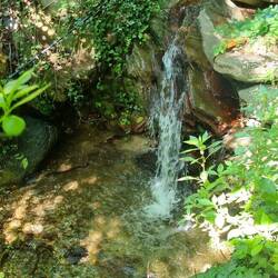 Richtig viel Wasser im Fluss