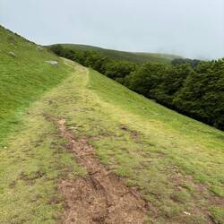 We finally left the road. This is more what I expected.