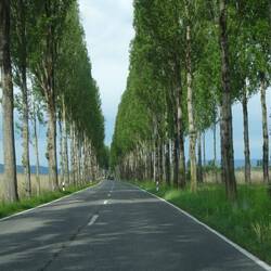 Op weg naar Reichenau.