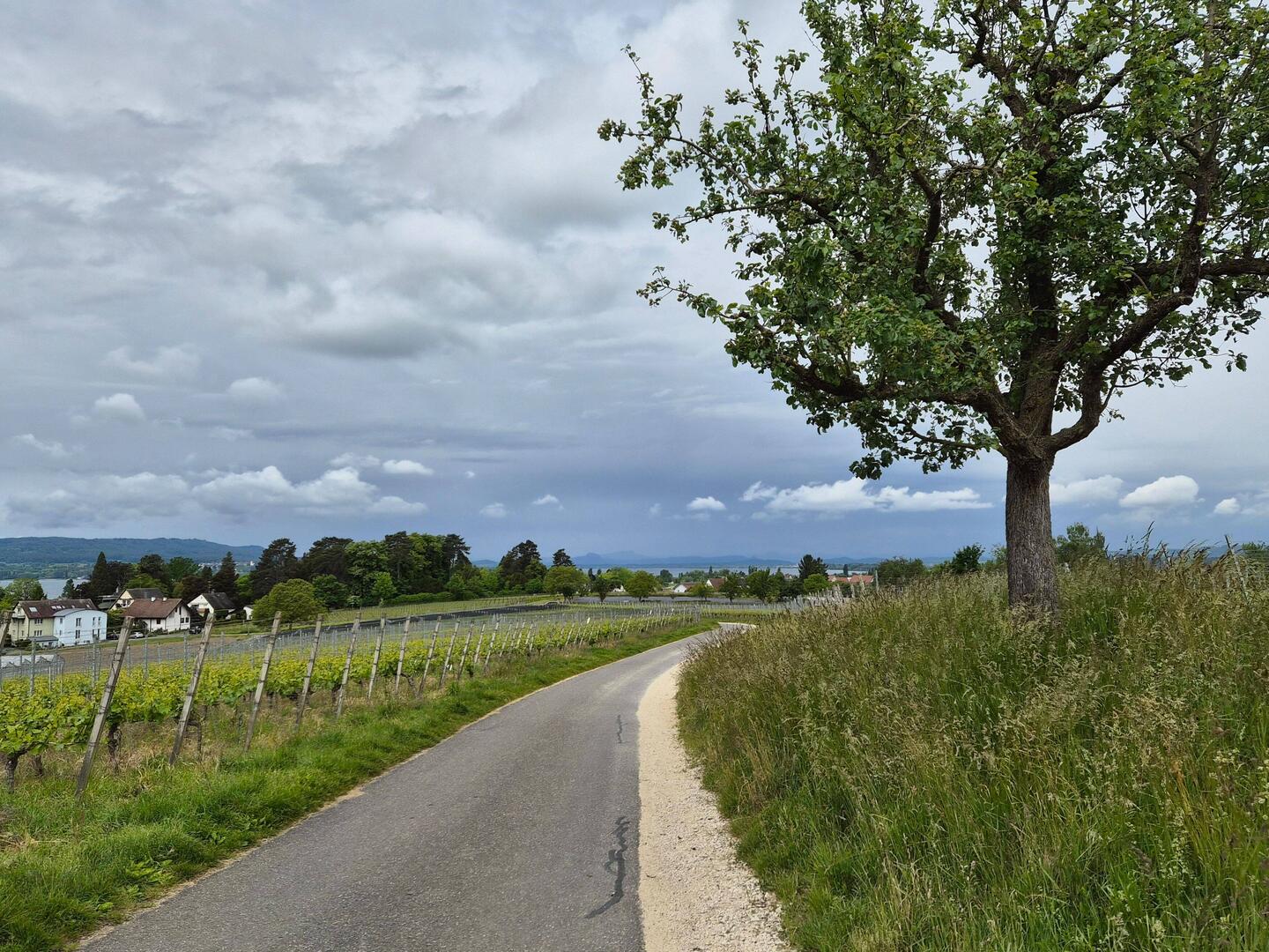 Onderweg naar het uitzichtpunt Hochwart.