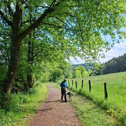Schöne Wege auf der Runde.