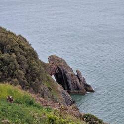 Felsenküste bei Torquay
