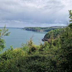 Blick auf Torquay/Babbacombe