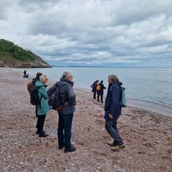 Am Strand von Oddiecombe