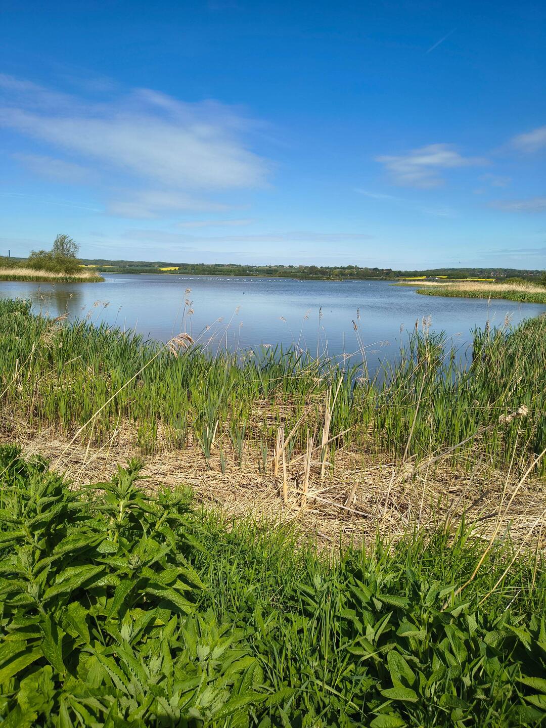 Sonne bei der Runde um den See