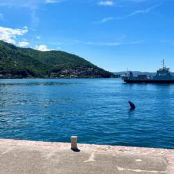 Le ferry qui permet de rallier plus rapidement Kotor. J'ai préféré faire le tour complet des bouches